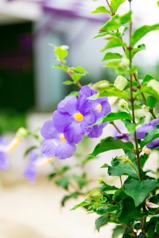 Lilac Relax-residence 3* Bangkok