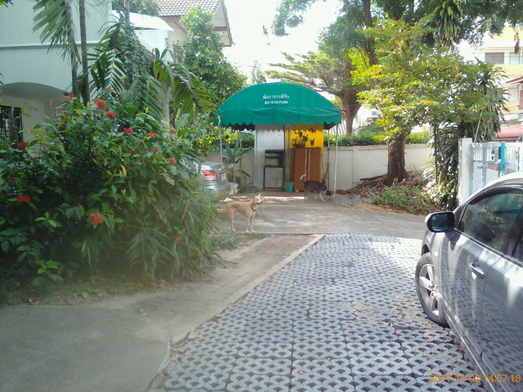 Guest house Young And Beautiful Bangkok