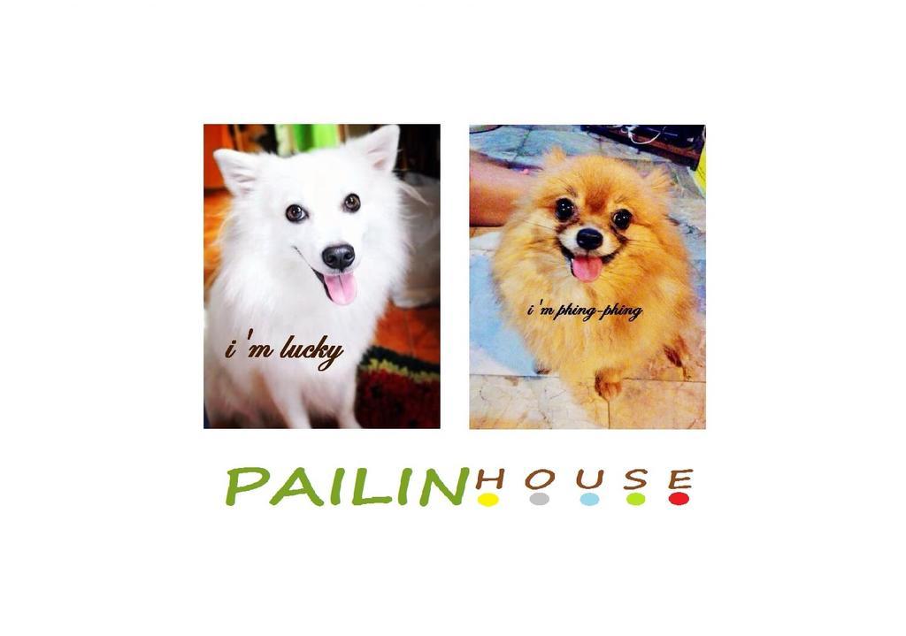 Wisma tamu Pailin