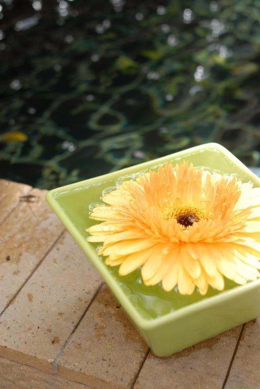Hostel Baan Dinso