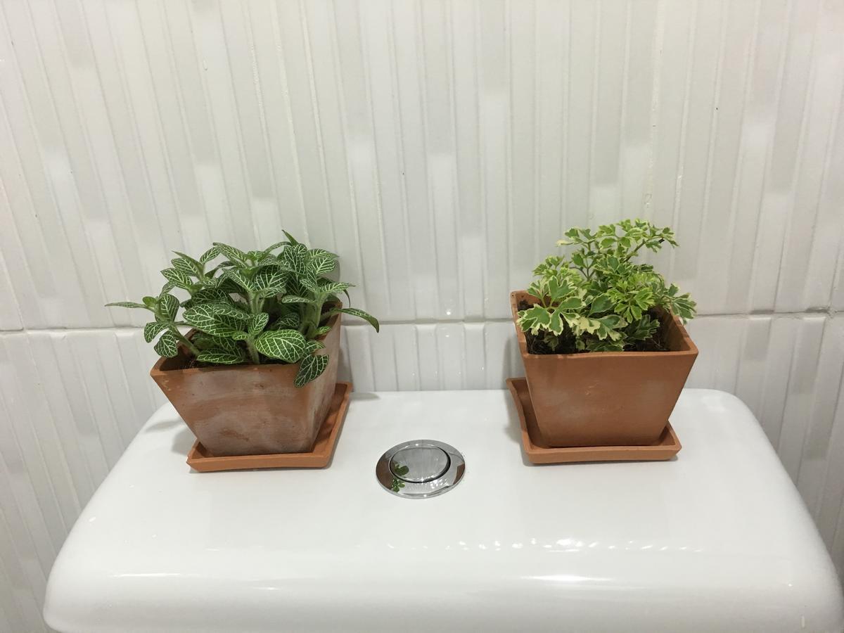 Wanmai Herb Garden 3*