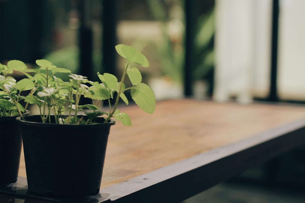 Mint Hostel Bangkok