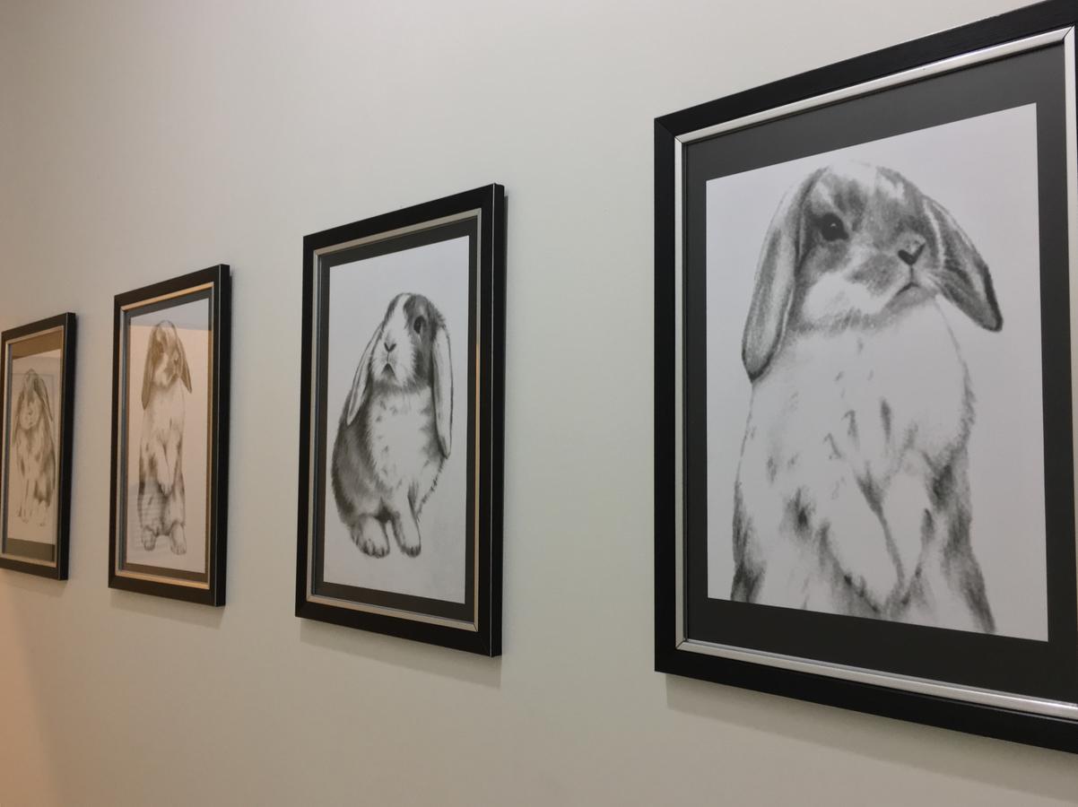 Rabbitat