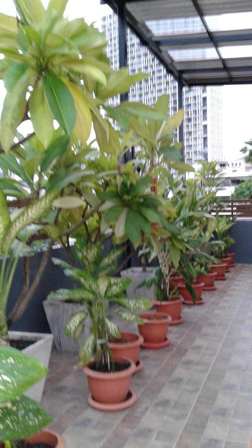 Loft Suanplu Hostel