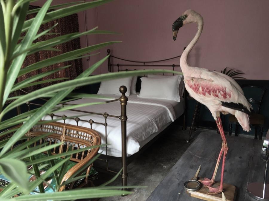 The Mustang Nero Tempat Tidur & Sarapan