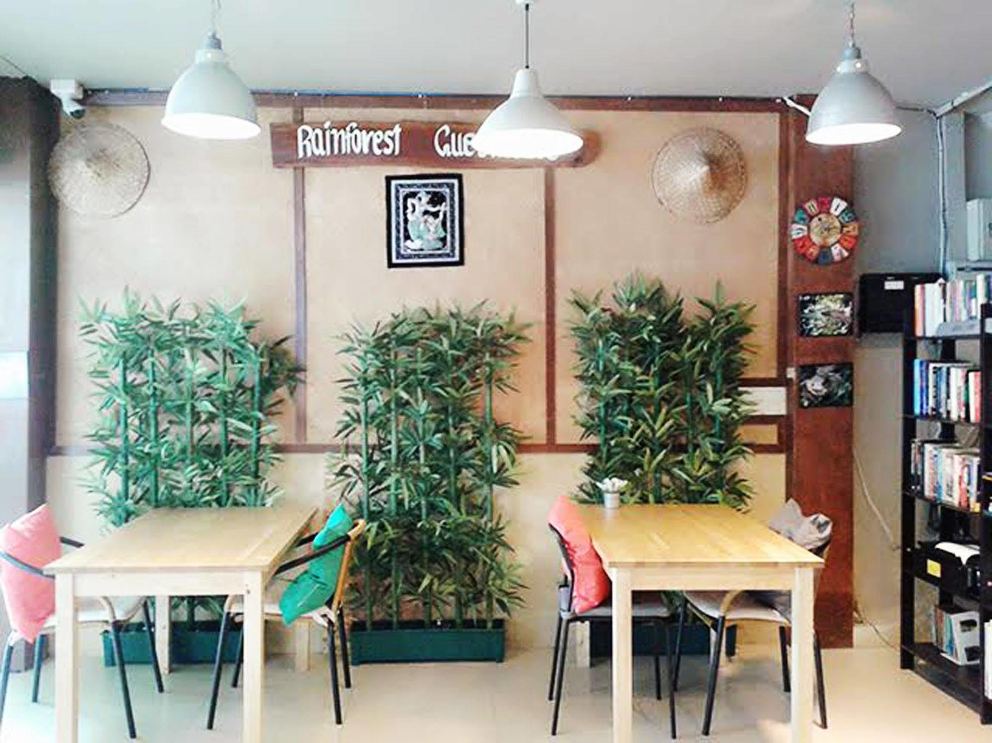Rainforest 2*