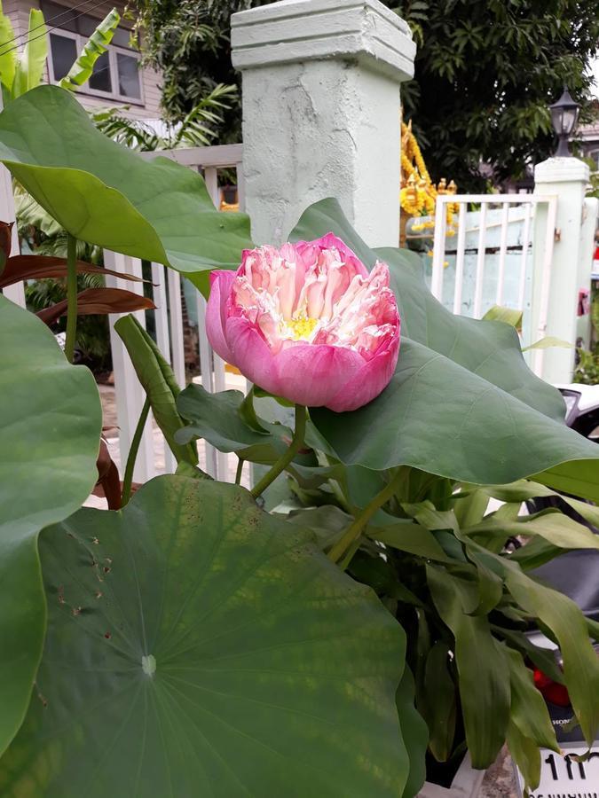 Hostel D Heart Bangkok