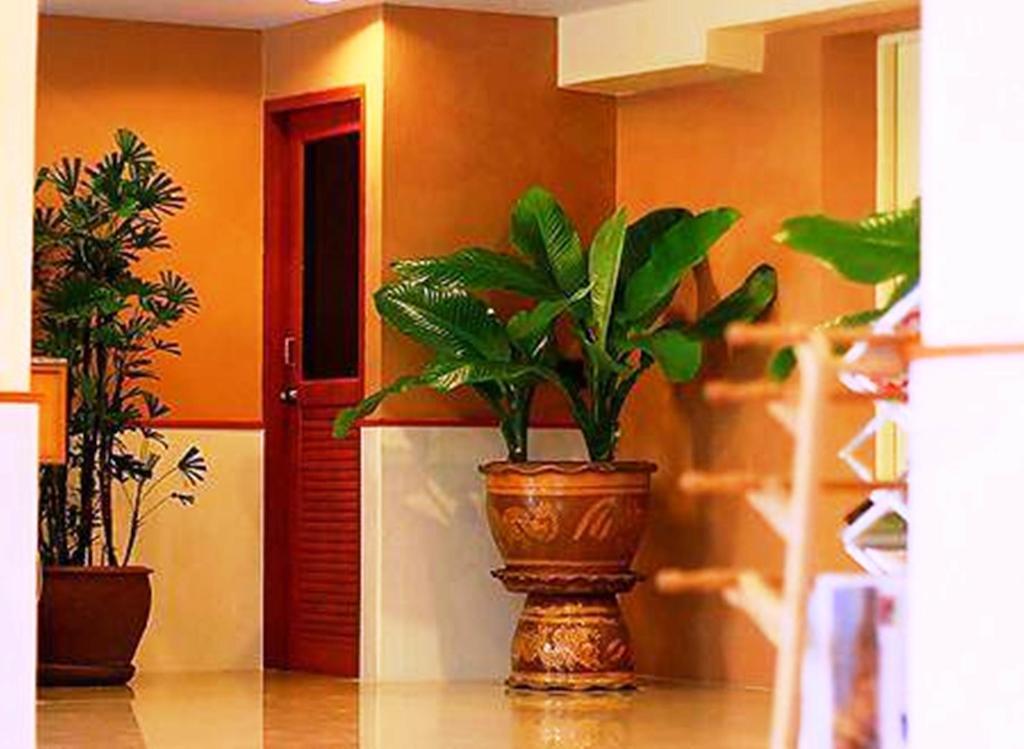 Cozy Hotel 3*