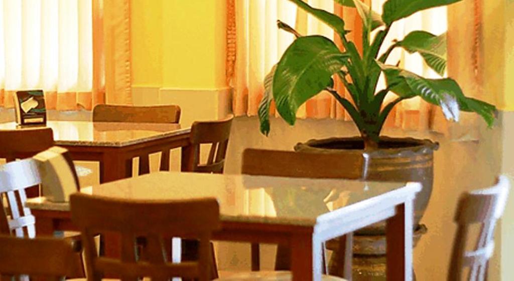 Hotel Cozy 3*
