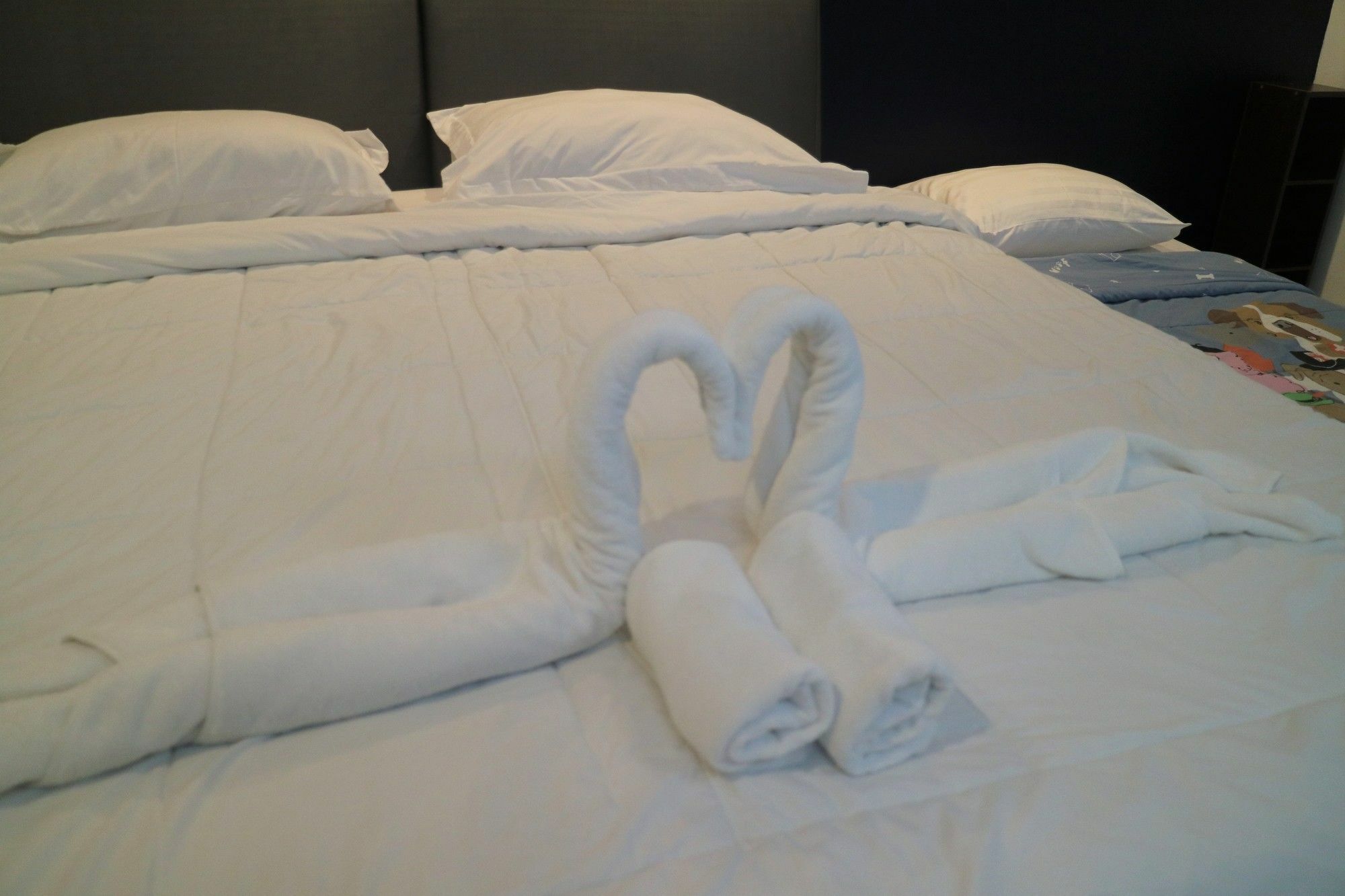 By Court Hotel