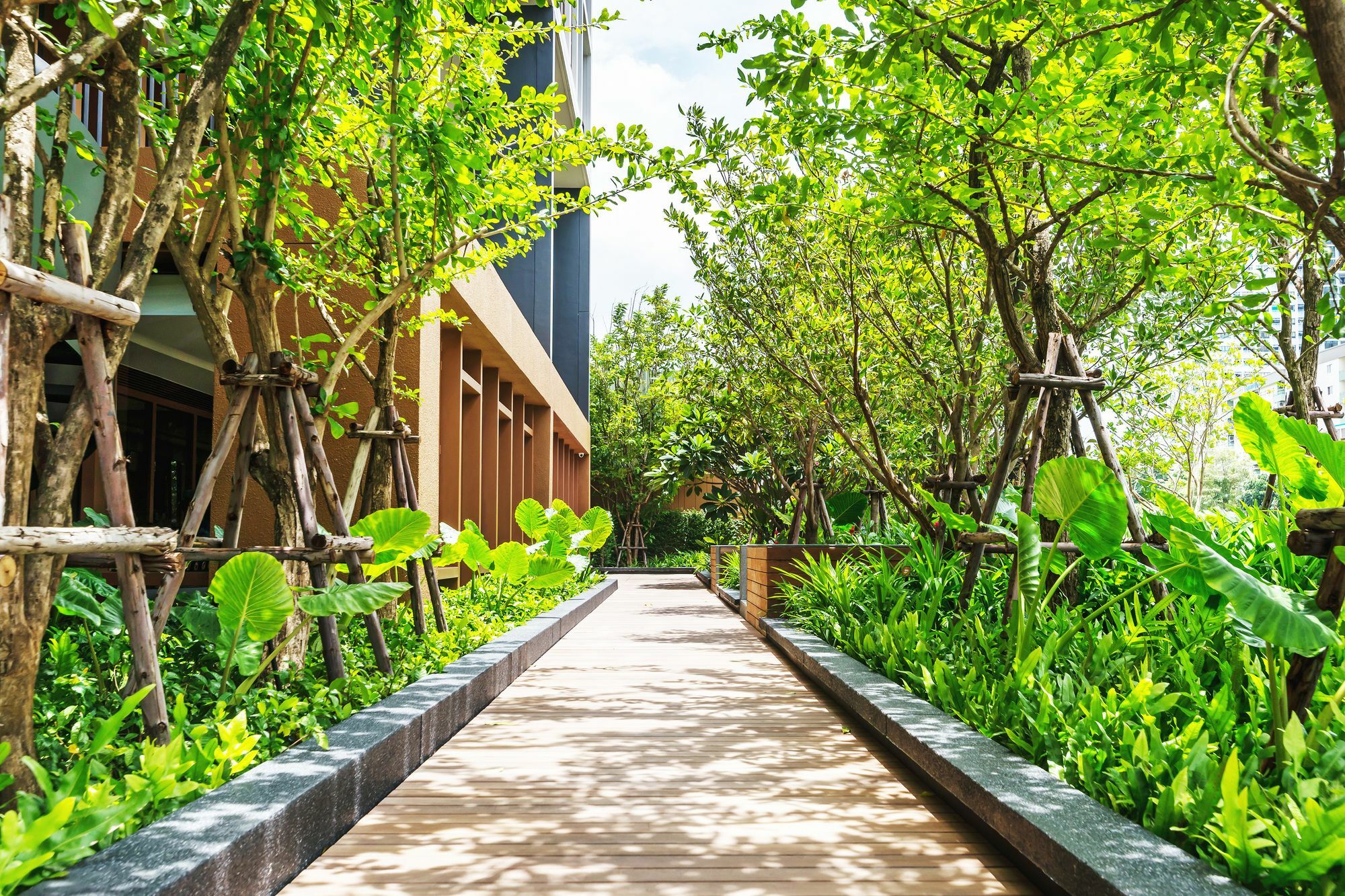 Hasu Haus By Favstay * Bangkok