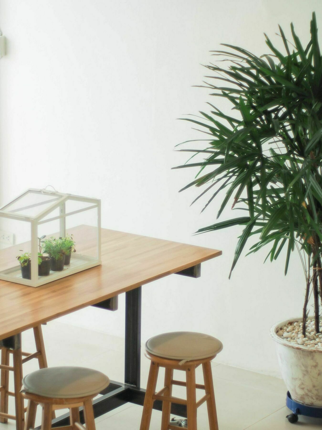 Mistletoe Bakery & Bangkok