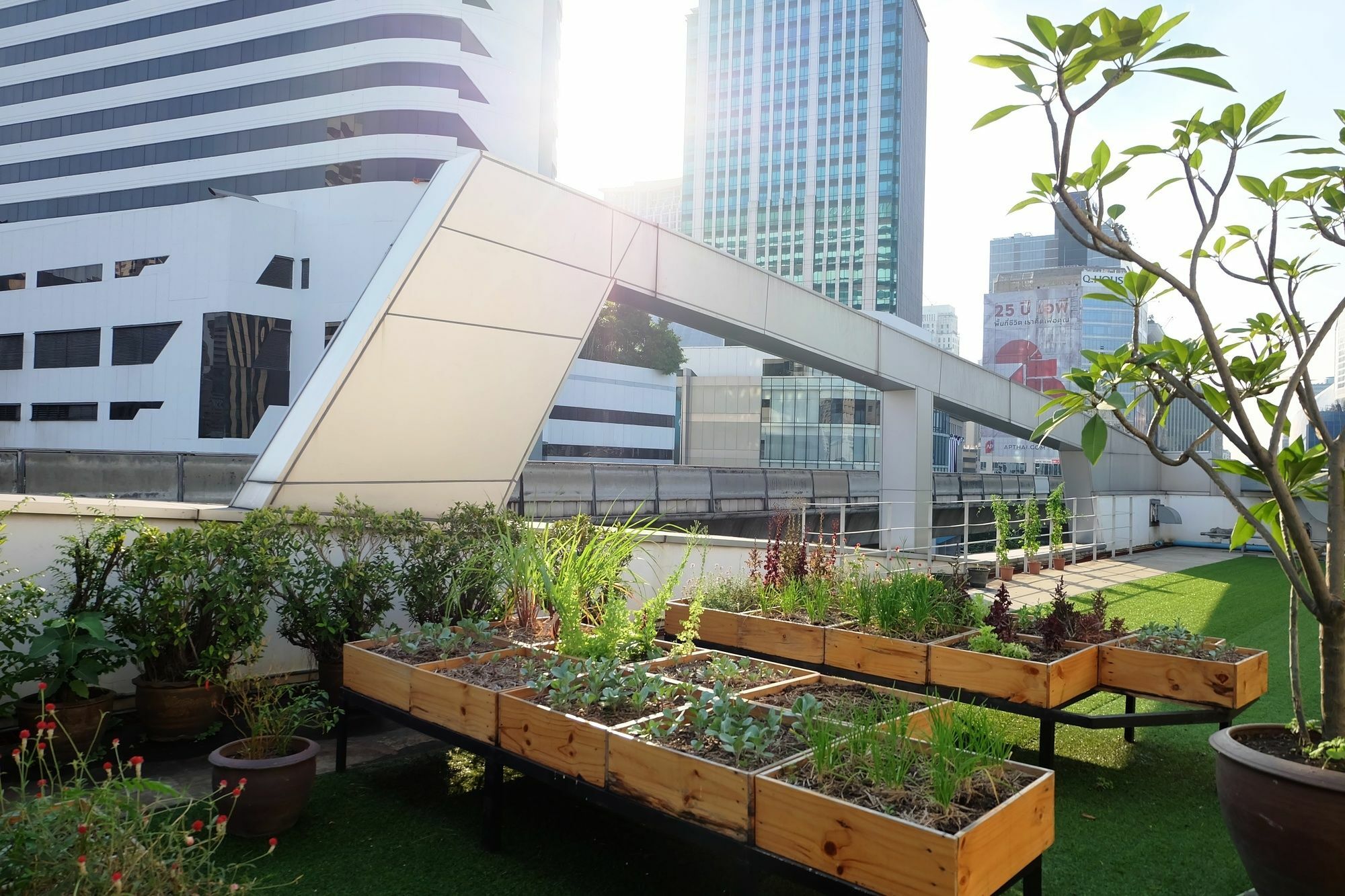 Hom Hostel&cooking Club Bangkok