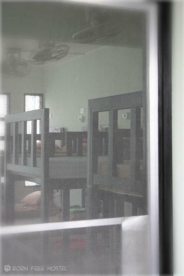 Albergue Born Free *