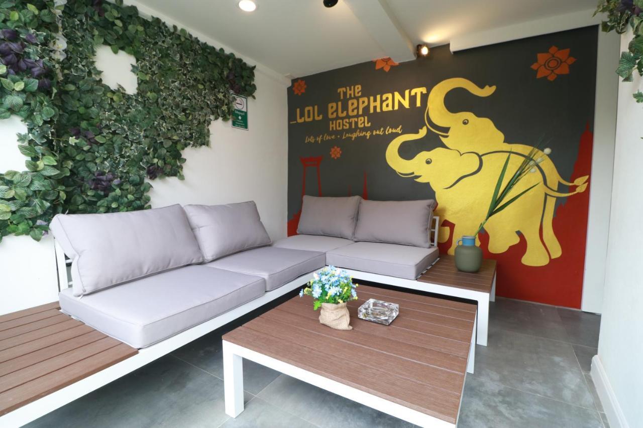 The Lol Elephant Albergue