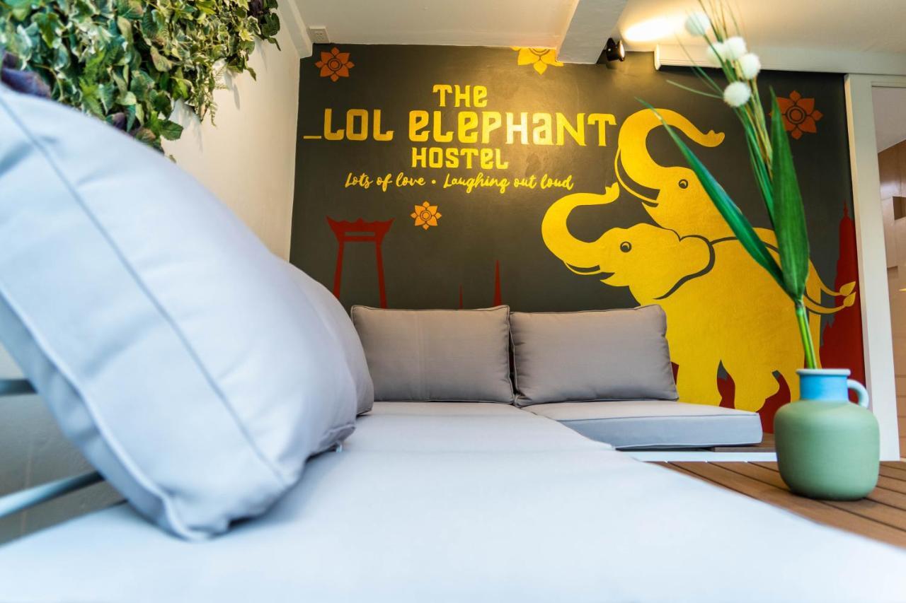 The Lol Elephant Albergue