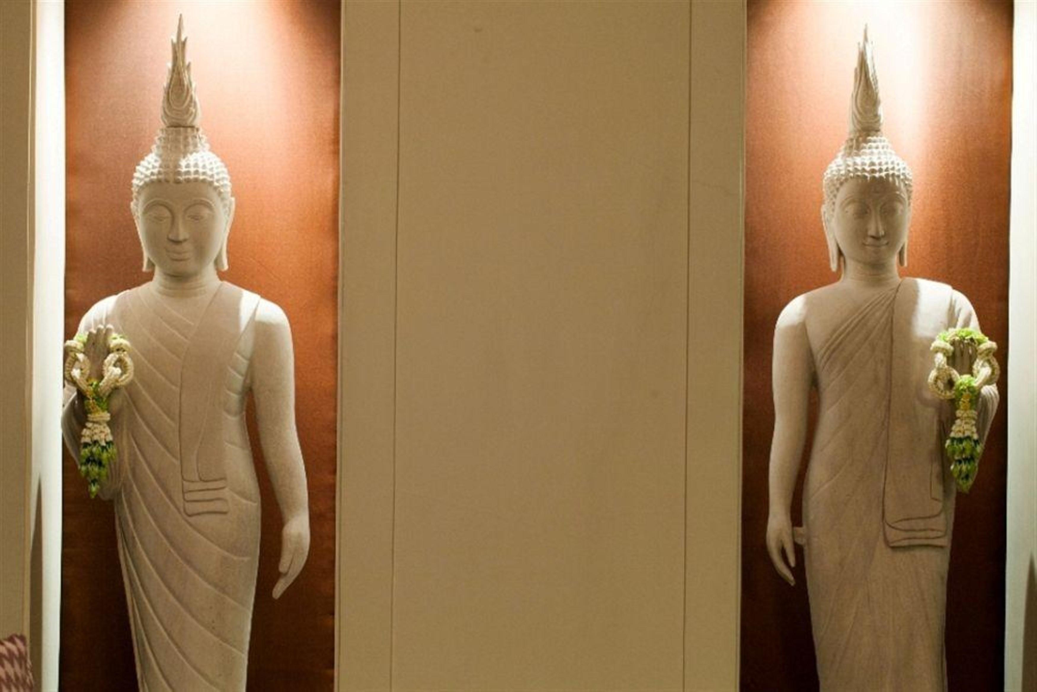 The Celadon