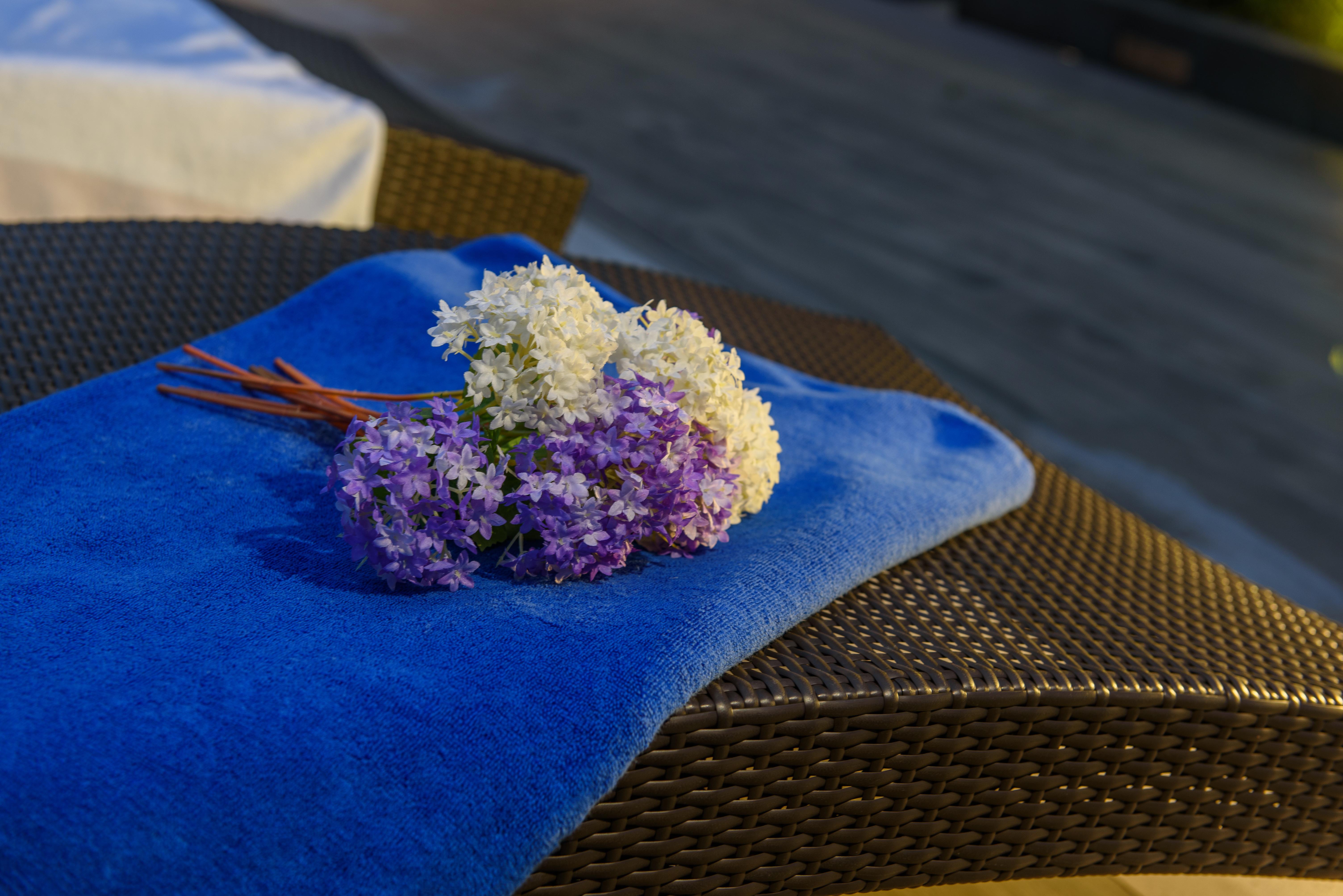 Hotel Alix