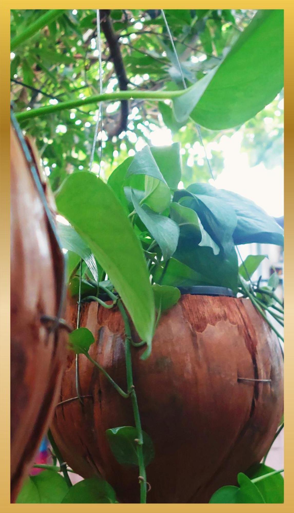 Sweetheart Tree Homestay Casa de hóspedes Banguecoque