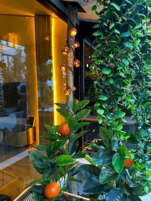 Thai Wabi-sabi Loft Ferienhaus Bangkok
