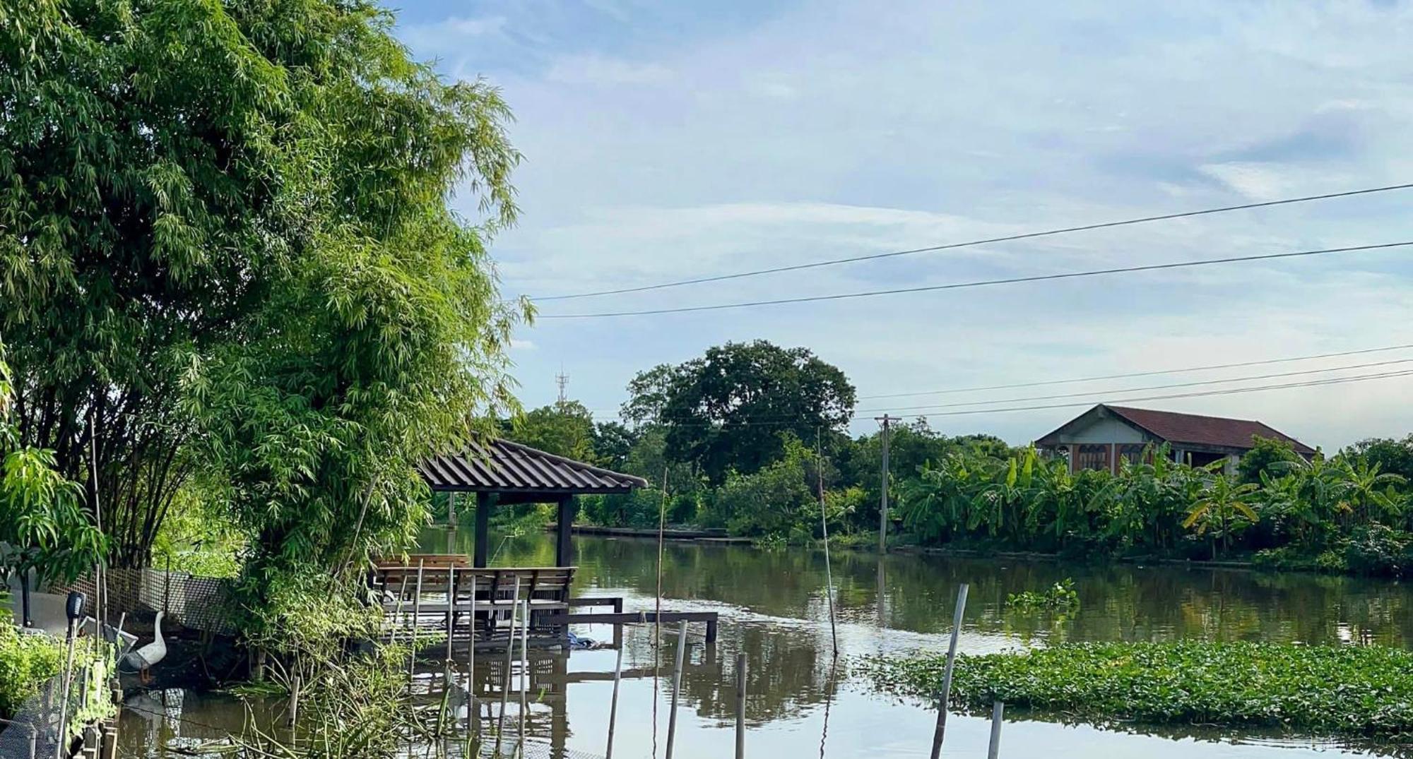 Rumah tetamu Croc Camp *