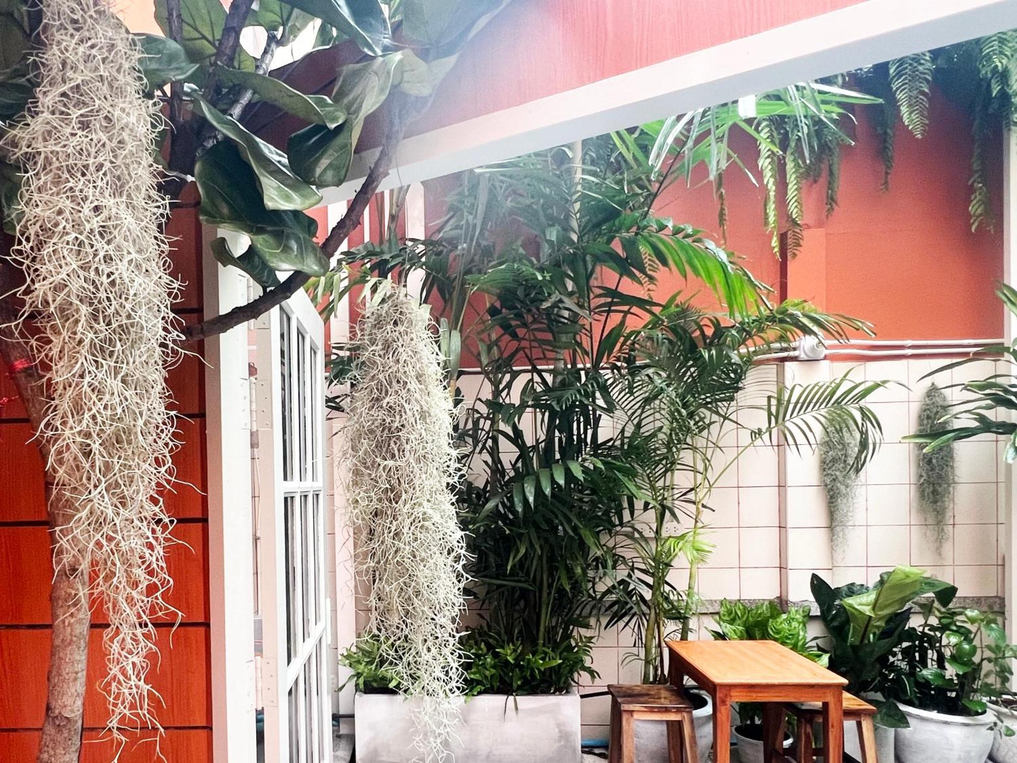 Vonden Garden By Merry V Bangkok