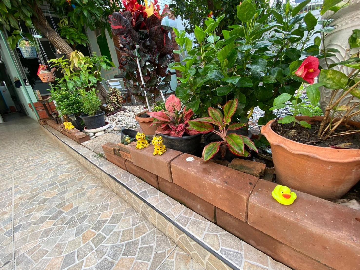 Albergue Garden
