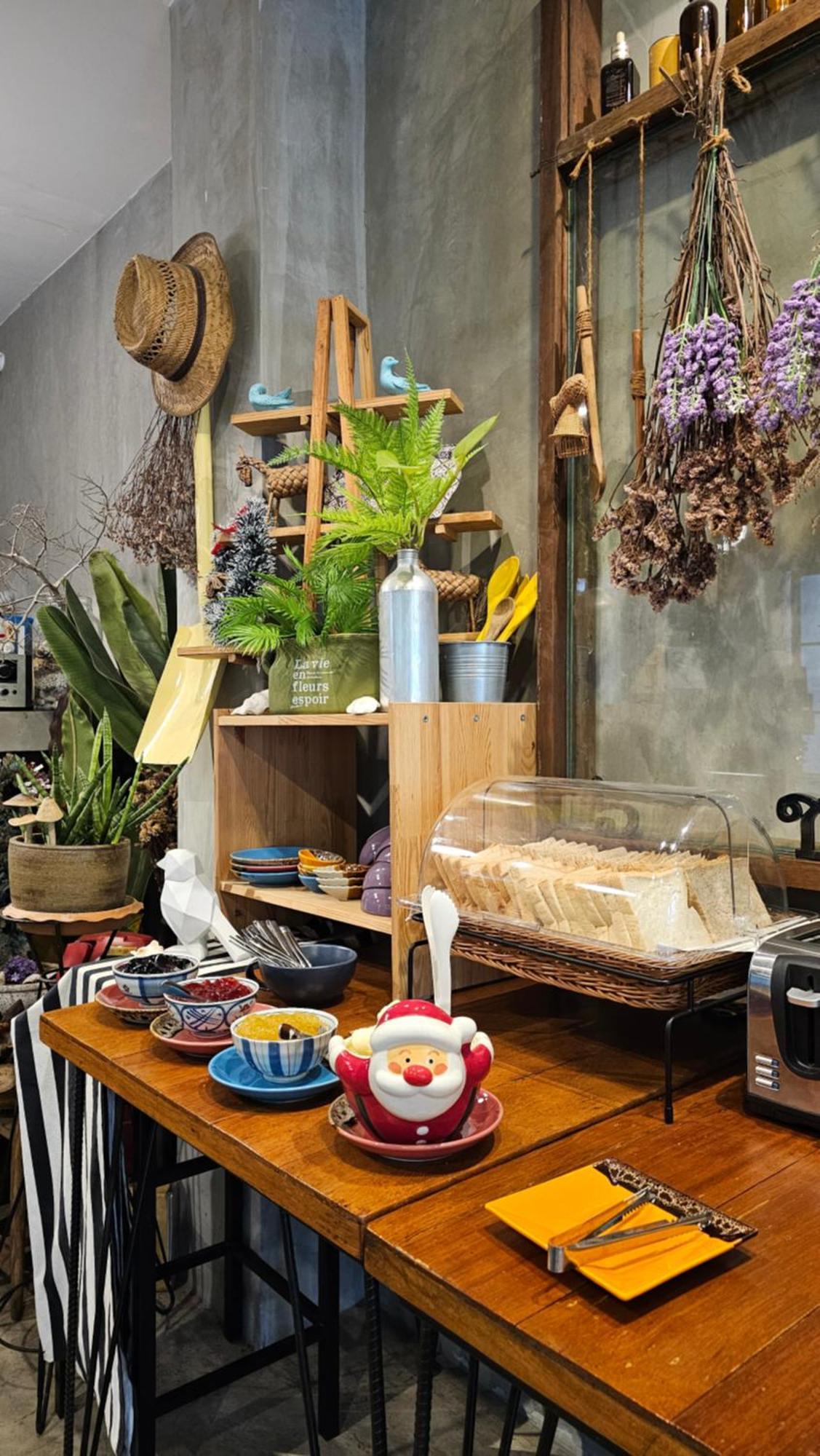 Bed & Breakfast Hansa House 3*