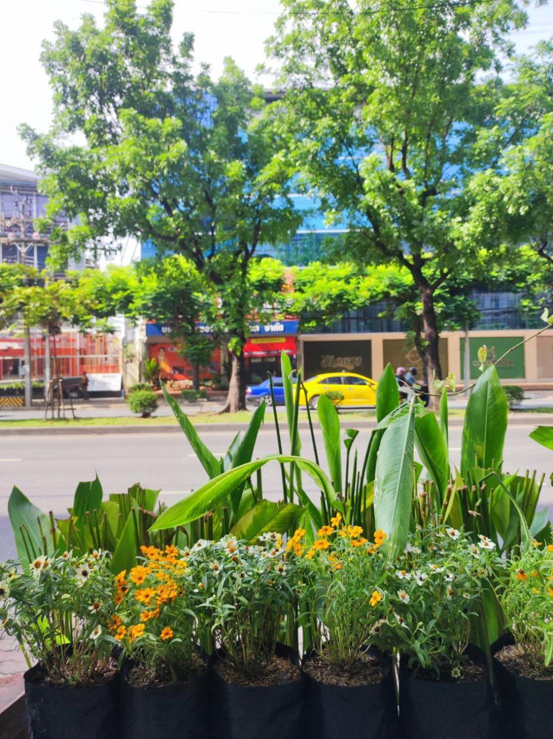 Mstay Bed & Breakfast Bangkok