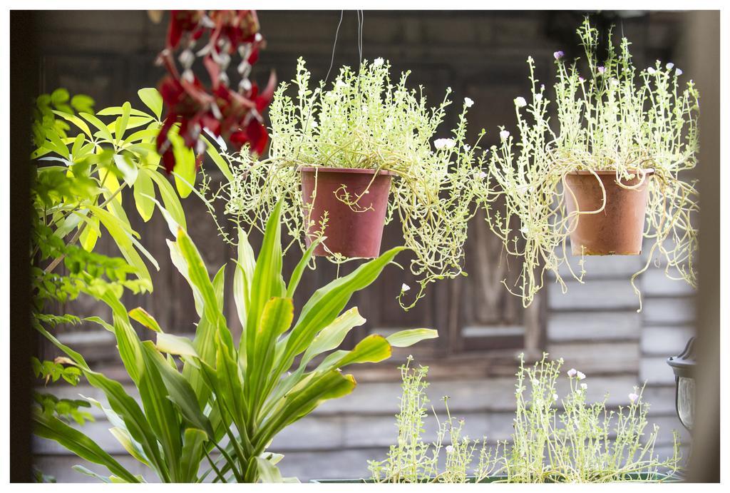 Baan Chantra Guest house Bangkok