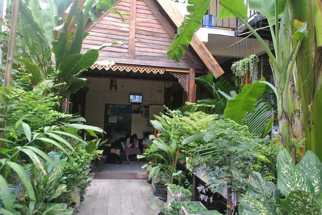 Eco House Homestay *