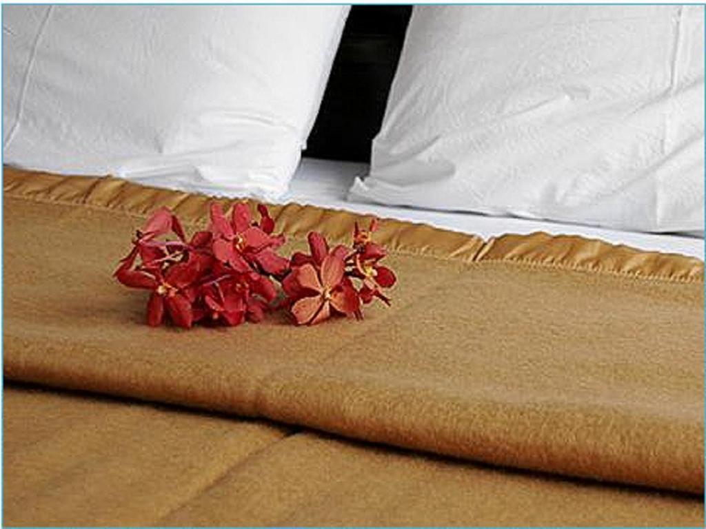 Hotel King Royal Garden 3*