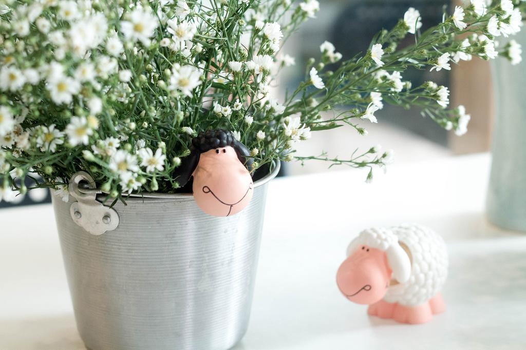 Counting Sheep