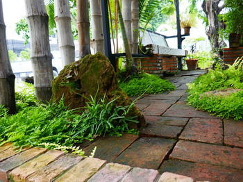 Baan Ichi （一番庵） Hostel Bangkok
