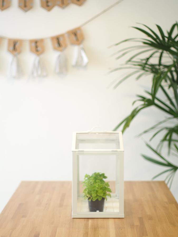 Albergue Mistletoe Bakery &