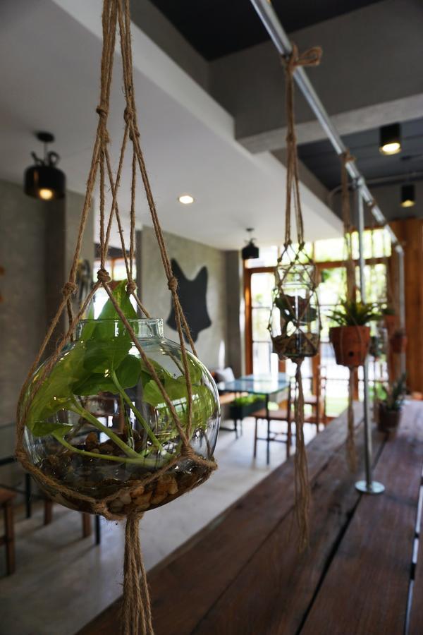 Hansa House Bed & Breakfast 3*