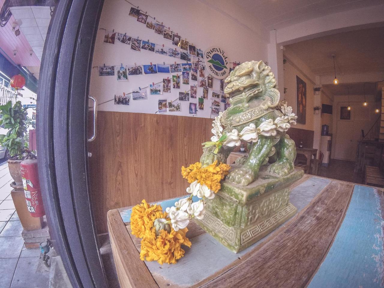 Bts Khaosan Albergue