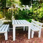 The Backyard 28
