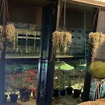 Skylark Bangkok 云雀