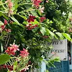 Sira\'S House