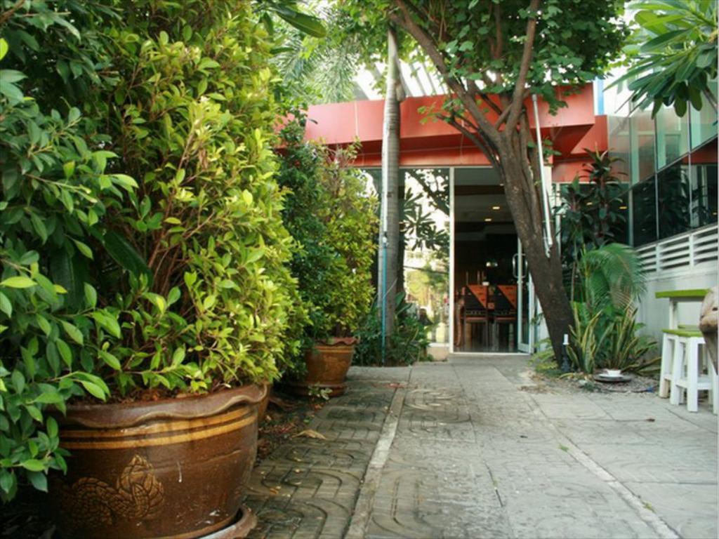 Spb Paradise Hotel