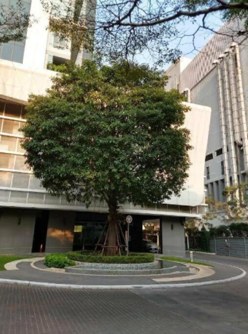 High-class 2bed Skyview Just 1-step From Bts Onnut Apartment *