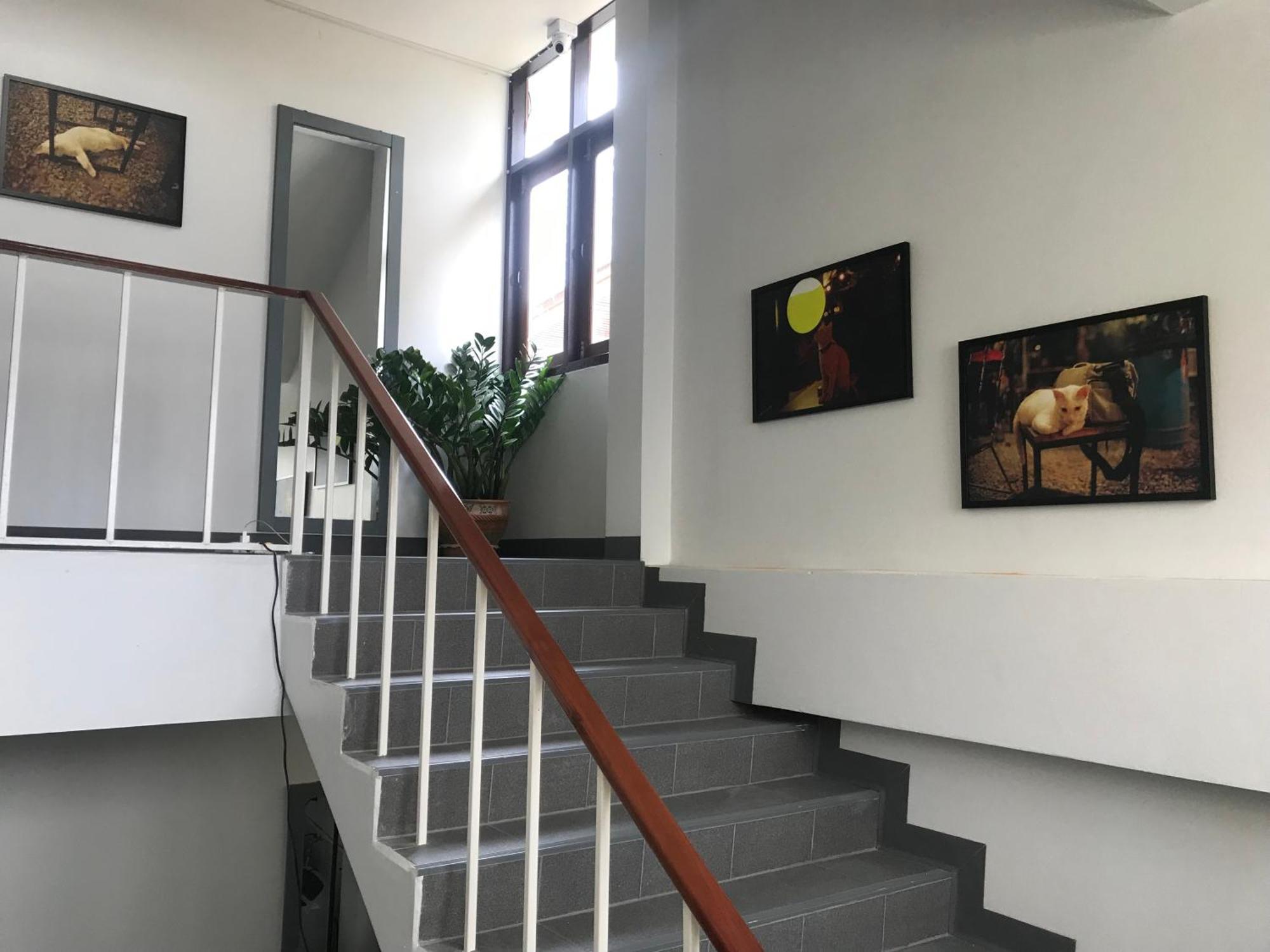 Apartamento Manoo House G *