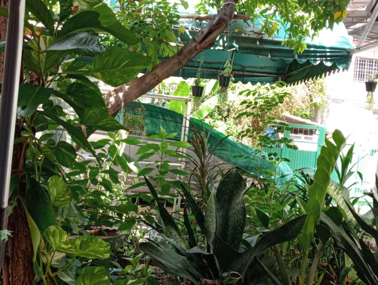 Casa de hóspedes Young And Beautiful Banguecoque