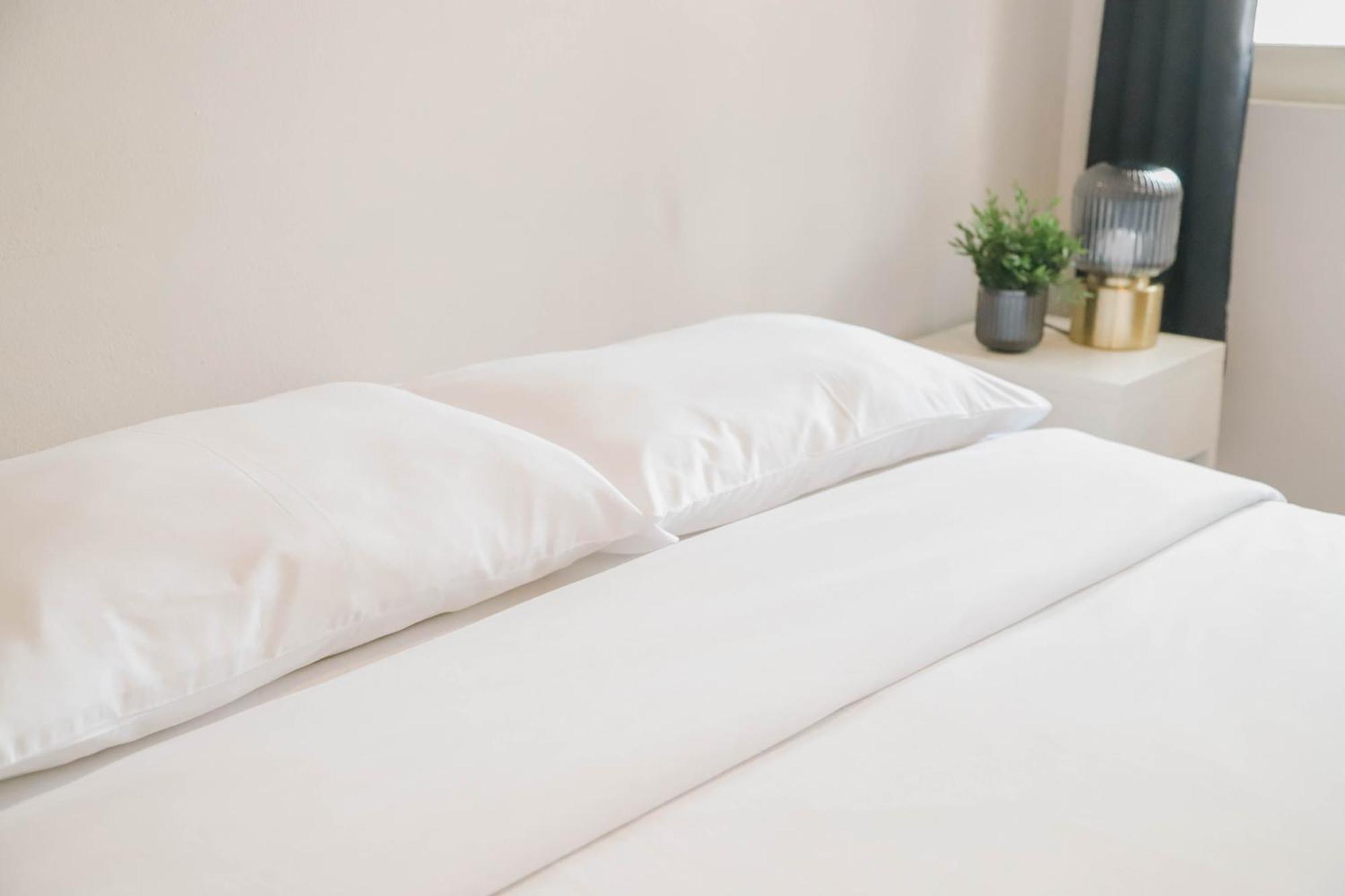 White Hotel 2*