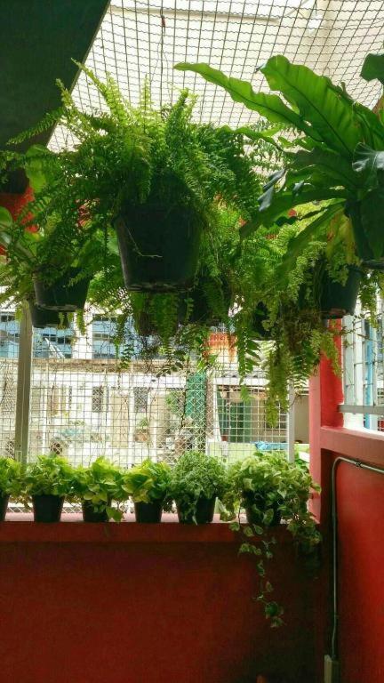 Hostel Silom Rainbow Dreamcatcher Bangkok