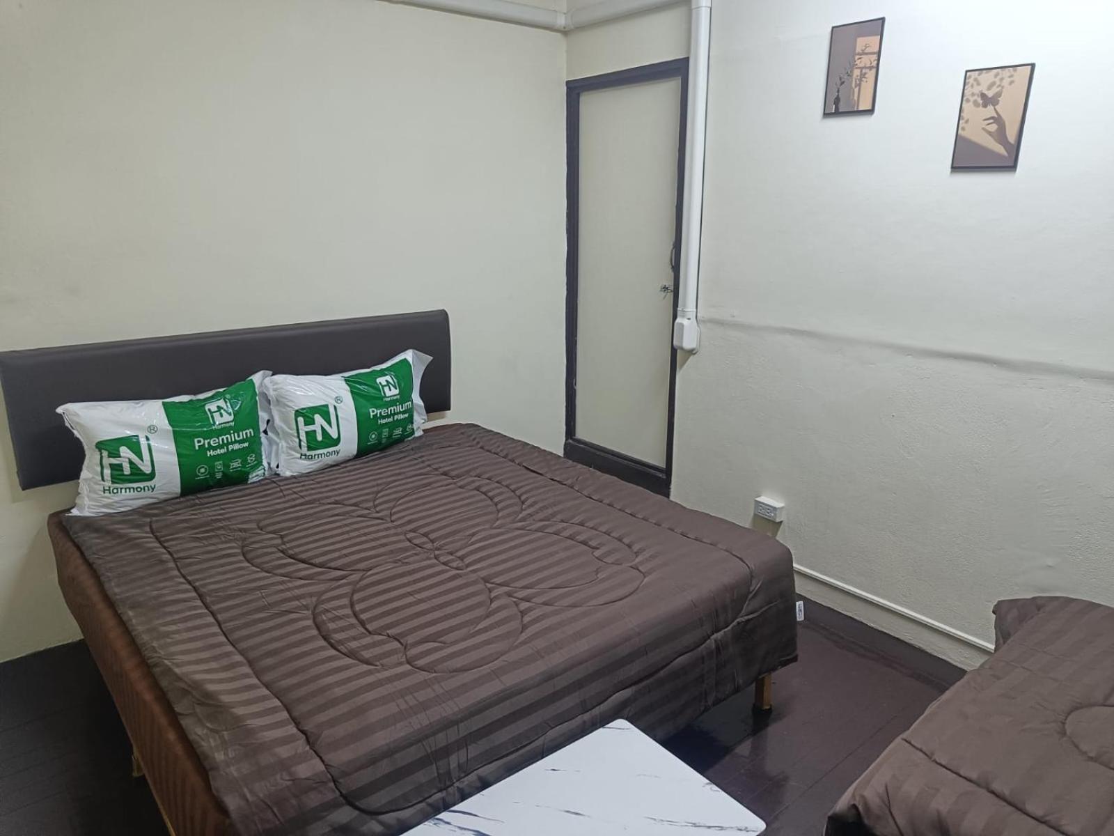 Hostel The House