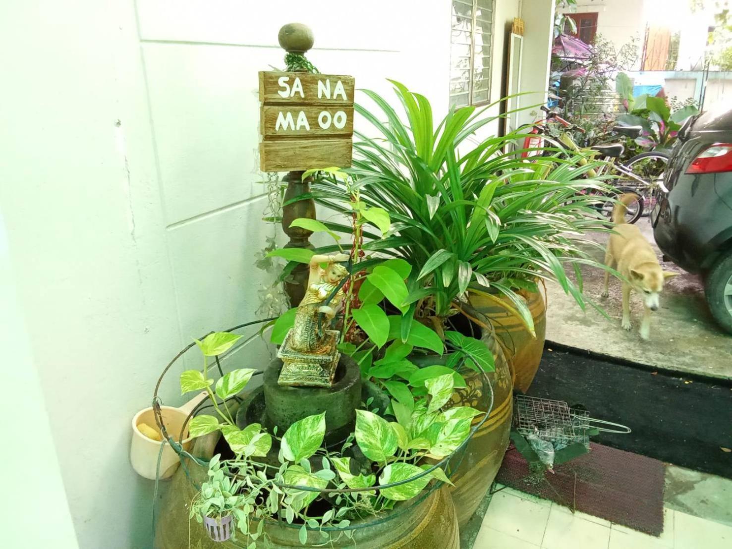 Young And Beautiful Banguecoque