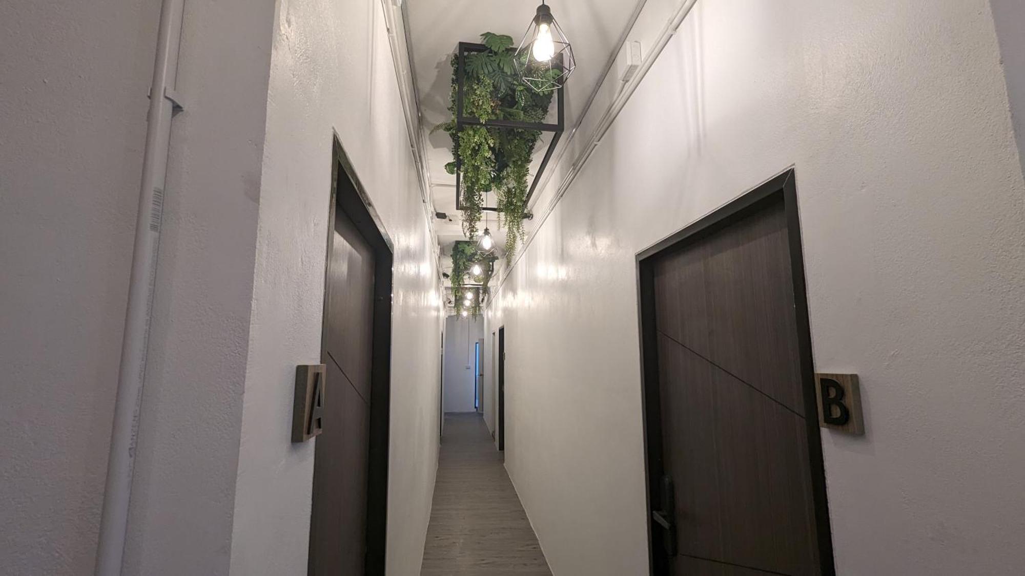 Urban Jungle Hostel *