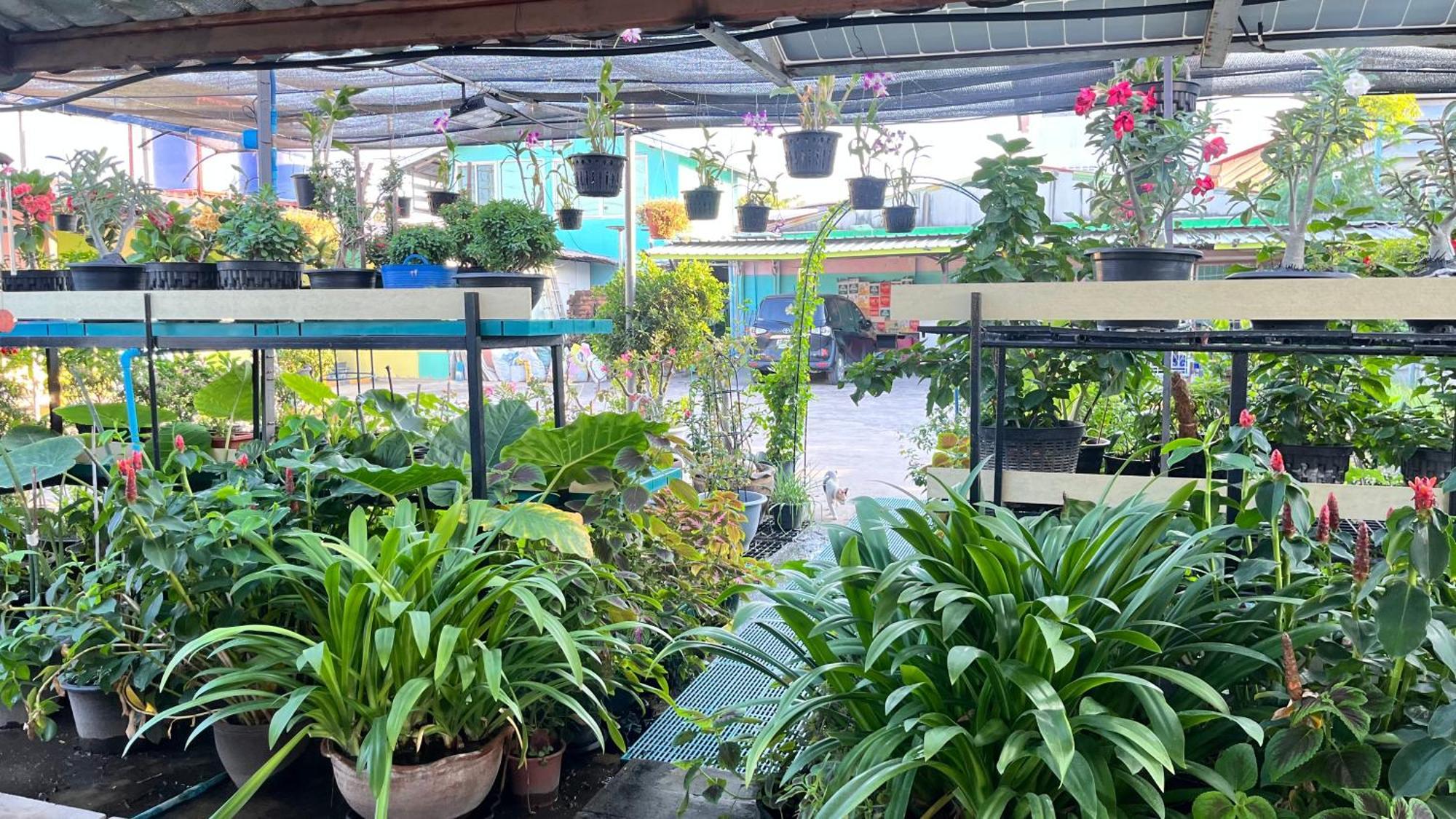 Pa Chalermchai Rumah tetamu Bangkok